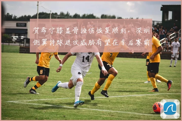 贺希宁膝盖骨挫伤恢复顺利,深圳侧翼持球进攻威胁有望在季后赛前恢复到最佳